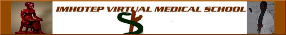 theme_banner