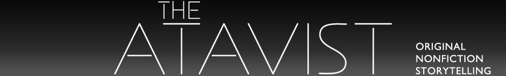 theme_banner