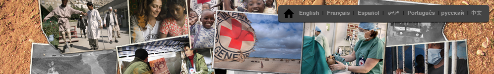 theme_banner