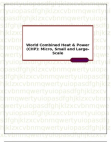 World Combined Heat & Power (CHP): Micro, Small and Large-Scale