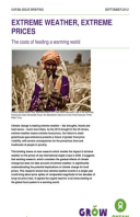 Extreme Weather, Extreme Prices: The costs of feeding a warming world