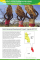 Effectiveness Review: North Karamoja Development Project, Uganda