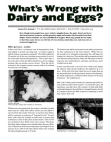 What's wrong with dairy and eggs?