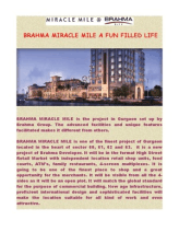 BRAHMA MIRACLE MILE A FUN FILLED LIFE