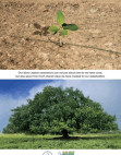 Jain Irrigation Systems Limited Annual Report for the FY 2011-12