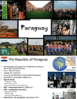 Consumer behaviour pattern Paraguay