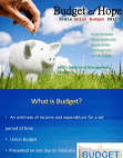 Indian Union Budget 2013-14 Presentation