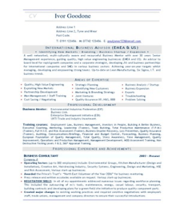 Business Resume Template on Business Advisor Resume Template