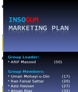 Marketing Plan  on Insogum Marketing Plan Ppt