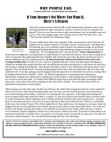 Scribd Document 23607750