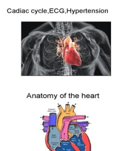 Cycleheart.com