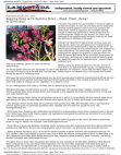 Scribd Document 24869864