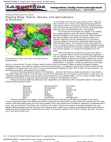 Scribd Document 26449397