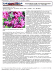Scribd Document 27800316