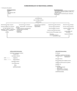 Bronchial Asthma  on Pathophysiology Of Bronchial Asthma