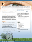 Vision Service Plan