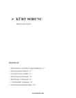 Kürt Sorunu