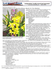 Scribd Document 48069114