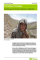 Promises, Promises: A briefing paper for the Kabul Conference on Afghanistan