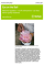 Eye on the Ball: Medicine regulation - not IP enforcement - can best deliver quality medicine