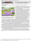 Scribd Document 54233769