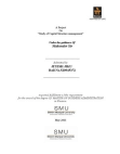 A Project on Capital Structure