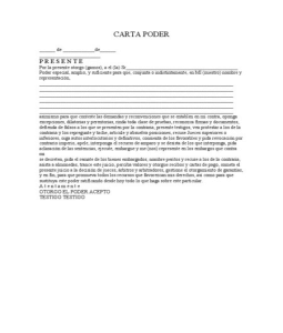 CARTA PODER formato