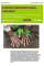 Averting Tomorrow's Global Food Crisis: The European Union's role in delivering food justice in a resource-constrained world