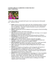 Scribd Document 59566628