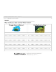 Student Independent Practice