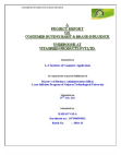 sip report