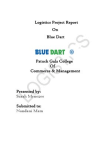 blue dart logistic project