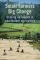 Small Farmers, Big Change: Scaling up impact in smallholder agriculture