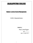 Financial Service Sector