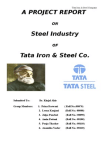project report on TATA STEEL
