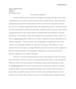 Tortilla Curtain Essay