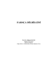 FARSCA DILBILGISI