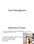 TEAM MANAGEMENT