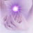 1307483537